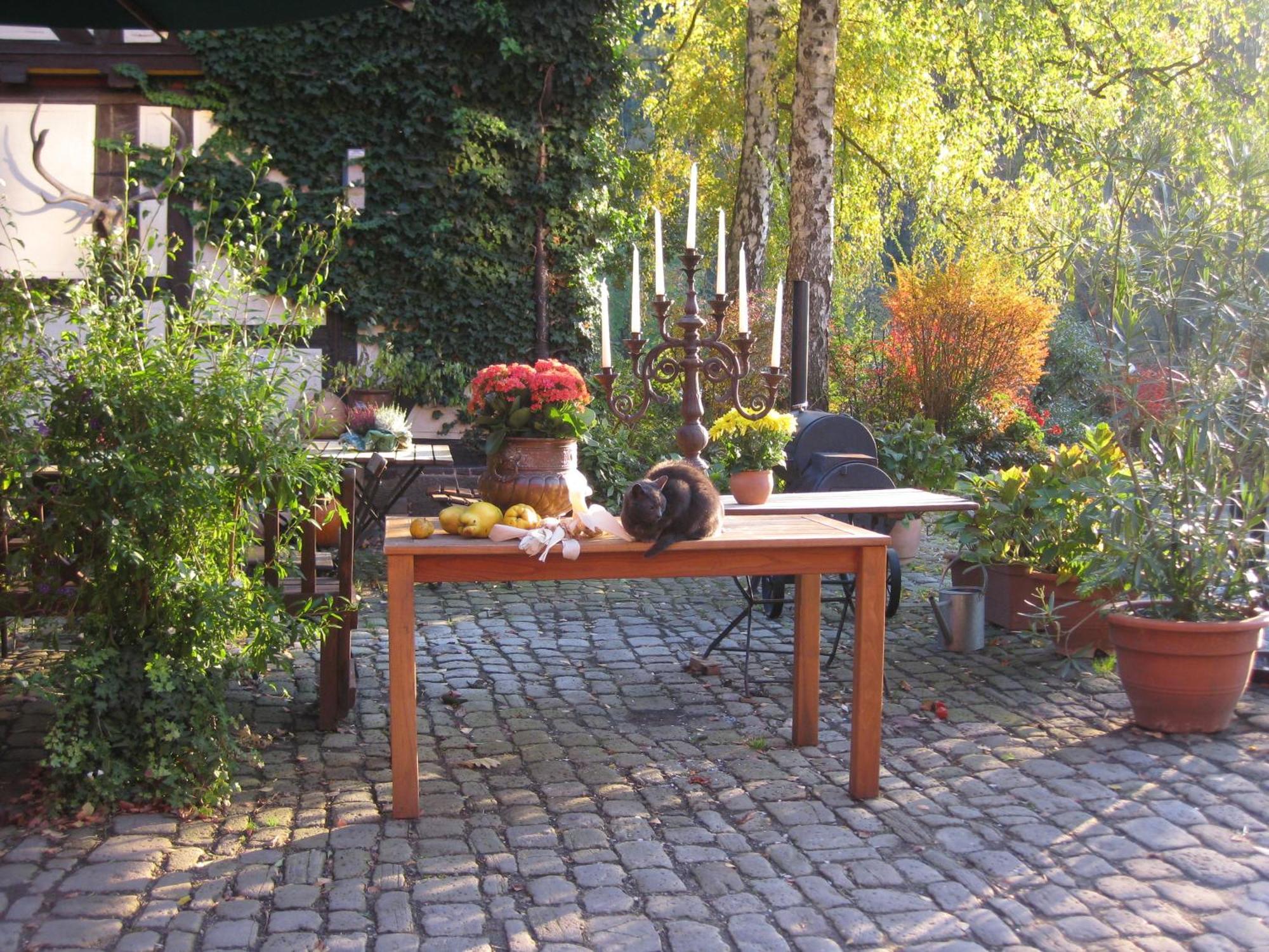 Hotel Schlafschoen Munden  ภายนอก รูปภาพ